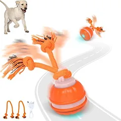 FurryFusion interaktyvus kamuolys šunims