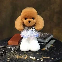 Mr. Jiang Teddy galvos plaukai - pakaitiniai kailiai Teddy kirpimo galvai, Brązowa — 3 nuotrauka