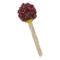 Blue Tree Cheesie Pop su avietėmis ir kokosu, skanėstai šunims, < 49 g — 5 nuotrauka