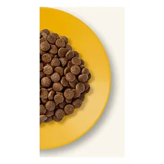 APPLAWS Cat Dry Adult Chicken 7,5 kg — 2 nuotrauka