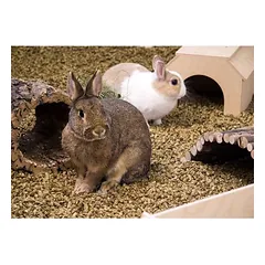 Bunny Bedding Cosy