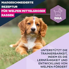 Eukanuba Premium Nutrition Puppy Medium Breed su vištiena, sausas maistas šuniukams, 3 - 4,9 kg — 4 nuotrauka