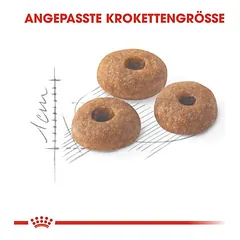 Royal Canin Regular Fit, > 10 kg — 5 nuotrauka