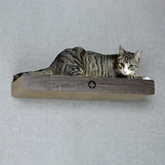 Canadian Cat Company sieninė draskyklė CLOUD su gulėjimo vieta ir laipteliu, L 70 x B 30 x H 8 cm - pilka — 3 nuotrauka