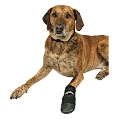 Trixie Šunų batai Walker