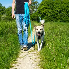 Pawz & Pepper ilgas pavadėlis Strong, mėlynas, 5 m ilgio, 10 mm pločio — 5 nuotrauka