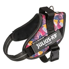 Limited Edition Julius-K9 IDC® Powerharness petnešos, Leaf 2, Labai mažiems < 4 kg — 2 nuotrauka