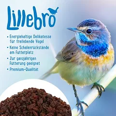 Lillebro lesalo razinos paukščiams, 1 kg — 2 nuotrauka