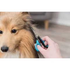 Trixie Face And Paw Scissors žirklės veido ir letenėlių kailio kirpimui, 9 cm — 5 nuotrauka