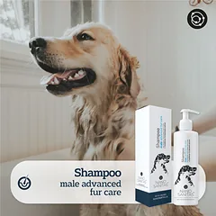 NANO SANITAS Male advanced fur care  šampūnas ilgaplaukių šunų veislių patinams, 250 ml — 2 nuotrauka