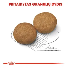 ROYAL CANIN SHN medium adult sausas maistas suaugusiems vidutinių veislių šunims 4kg — 4 nuotrauka