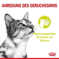 Royal Canin Sensory Smell padaže, drėgnas maistas katėms — 3 nuotrauka