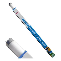 Diversa T8 30W Blue