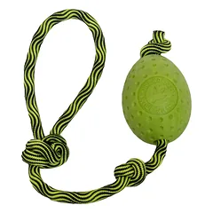 Kiwi Walker Let's Play Egg - šuns žaislas, kiaušinis ant virvutės, Pomarańczowe — 5 nuotrauka