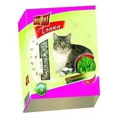 Vitapol GRASS For Cats kačių žolė auginimui kartoninėje dėžutėje, 100 g