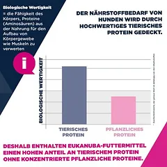 3 kg gratis! 18 kg Eukanuba Premium Nutrition Breed Huhn