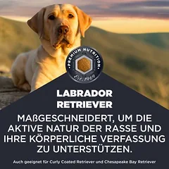 Eukanuba Adult Breed Care Labrador Retriever, sausas maistas šunims — 2 nuotrauka