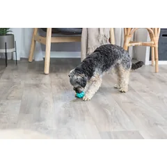 Trixie kamuoliukas Denta Fun mėtinis parduotuvėje Petz.lt