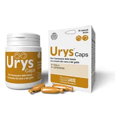 URYS CAPS N30