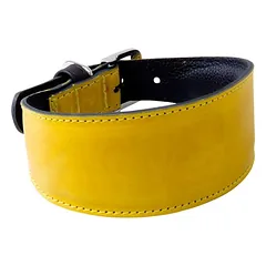 Das Lederband Windhundhalsband Vancouver Yellow/Black