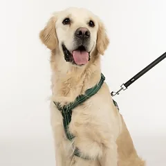 TIAKI Neoprene petnešos, žalios, Labai mažiems < 4 kg — 5 nuotrauka