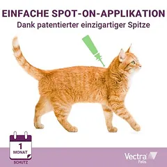 Vectra Felis katėms, Dideliems > 5 kg — 2 nuotrauka