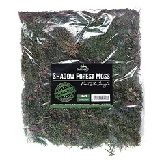 Terrario forest moss (miško samana) 28×35 cm