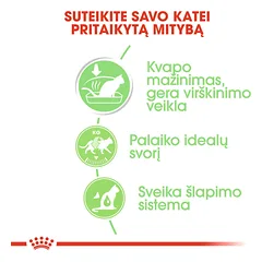 ROYAL CANIN FHN Digest sensitive in gravy konservai padaže suaugusioms jautrioms katėms 12x85 g — 3 nuotrauka