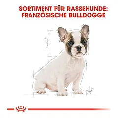 Royal Canin French Bulldog Puppy sausas maistas šunims, > 10 kg — 5 nuotrauka