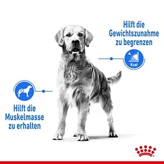 Royal Canin Medium Light Weight Care sausas maistas šunims, > 10 kg — 3 nuotrauka