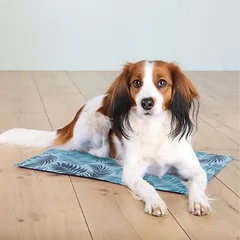 Trixie vėsinamasis kilimėlis palmių lapai, Vidutiniams 11–25 kg — 2 nuotrauka