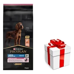 PRO PLAN Sensitive Skin Large Athletic suaugusių šunų ėdalas su lašiša 14kg + STAIGMENA ŠUNIUI