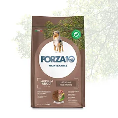 Forza10 Medium Adult Maintenance ėriena su ryžiais sausas maistas vidutinio dydžio suaugusiems šunims, 12 kg
