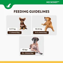 NaturVet No Scoot, papildas šunims, 120 kramtomųjų kubelių — 2 nuotrauka