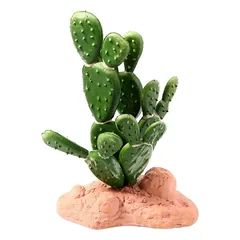 REP NOVA terariumo dekoracija kaktusas 15cm