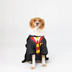 WARNER BROS Harry Potter kostiumas šunims, Dideliems 26–45 kg — 3 nuotrauka