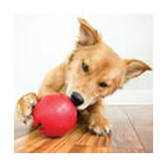 KONG Biscuit Ball Small - dog toy — 4 nuotrauka