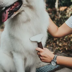 HUNTER Detangling SPA dviejų eilių šukos gyvūnų kailio iššukavimui — 4 nuotrauka