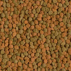 Tetra Wafer Mix pašaras žuvims ir vėžiagyviams, 100 ml — 2 nuotrauka