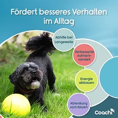 Coachi Boomi Ball žaislas šunims, Labai dideliems > 45 kg — 2 nuotrauka