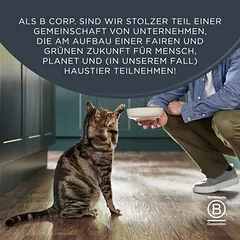 Encore Cat Treats su tuno filė, skanėstai katėms — 3 nuotrauka
