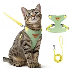 Zoomtopia Harnais chat anti-fuite avec laisse vert taille M