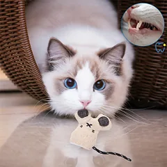 Nobleza pelė su katžole žaislas katėms — 5 nuotrauka