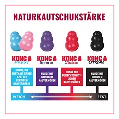 KONG Classic Gold, Vidutiniams 11–25 kg — 4 nuotrauka