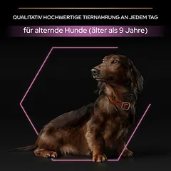 PURINA PRO PLAN Small & Mini Adult 9+ Age Defence sausas maistas šunims — 4 nuotrauka