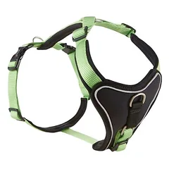 Wolters Geschirr Professional Comfort kiwi/schwarz