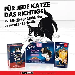 Felix Junior drėgnas maistas katėms „So gut wie es aussieht“ 48 x 85 g, 80 - 99 g — 5 nuotrauka