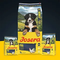 Josera Kids sausas pašaras jauniems šunims su paukštiena, 12,5kg