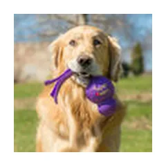 KONG Wubba Large Assorted  - dog toy — 5 nuotrauka