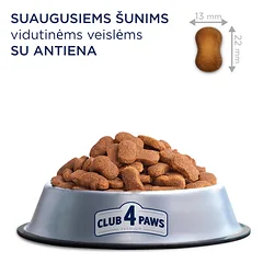 CLUB 4 PAWS Premium vidutinių veislių suaugusiems šunims su antiena. Visavertis sausas pašaras, 14 kg — 4 nuotrauka
